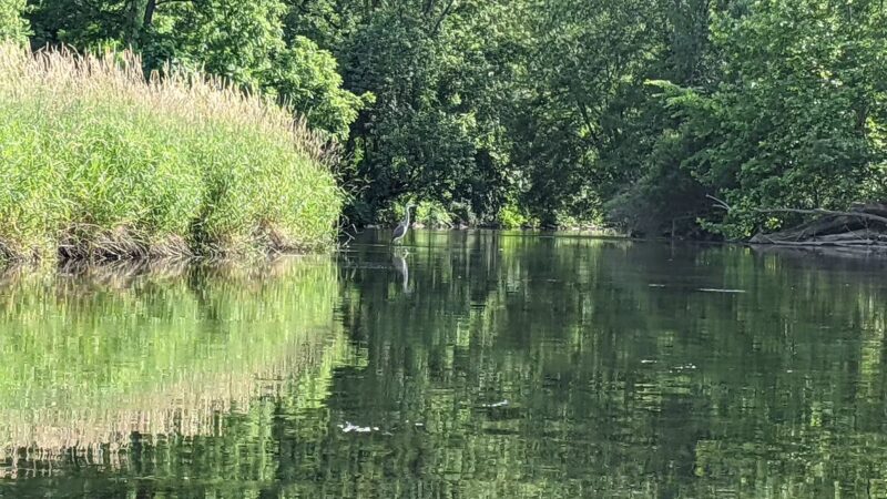 Doug Phillips Park - Fishkill, NY