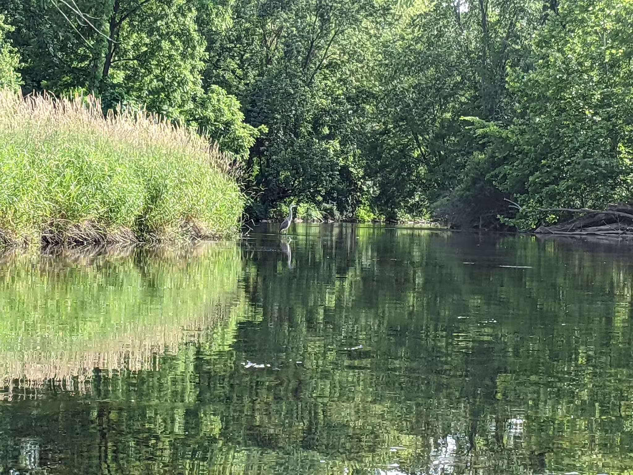 Doug Phillips Park - Fishkill, NY