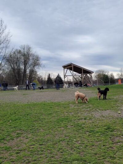 Doug Phillips Park - Fishkill, NY