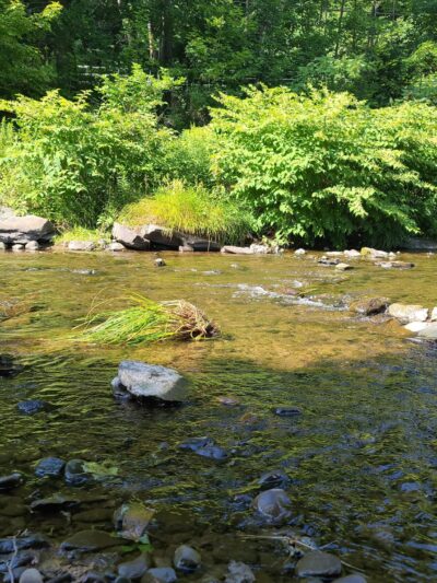 Fleischmanns Village Park - Fleischmanns, NY
