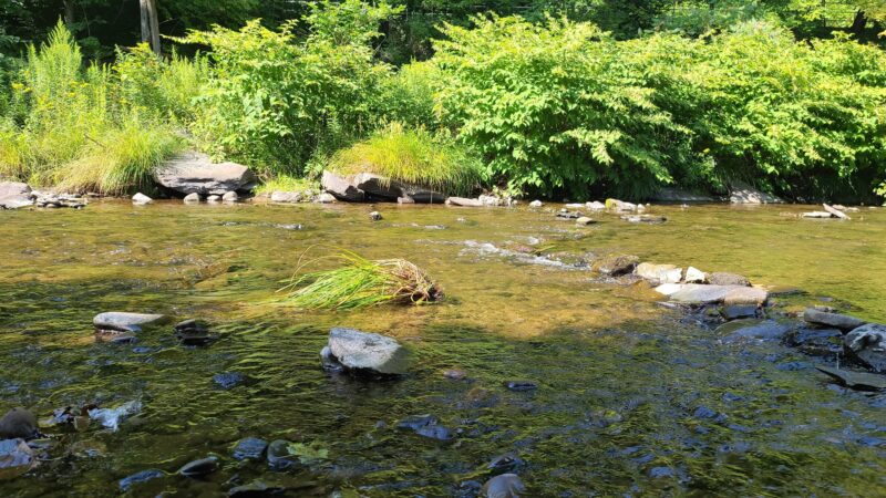 Fleischmanns Village Park - Fleischmanns, NY