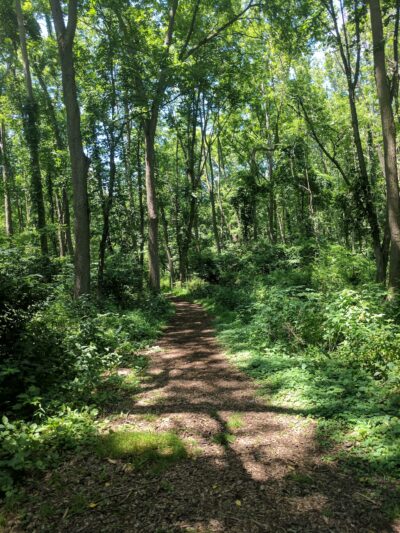 Bernadette Morales Nature Preserve - Flemington, NJ