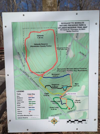 Bernadette Morales Nature Preserve - Flemington, NJ