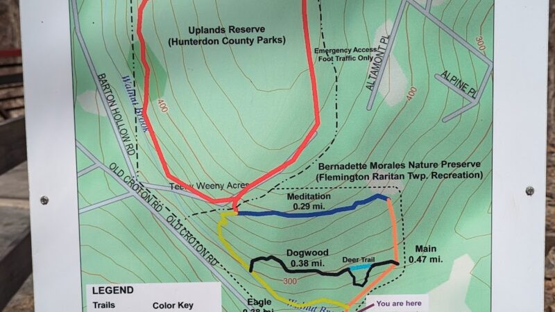 Bernadette Morales Nature Preserve - Flemington, NJ