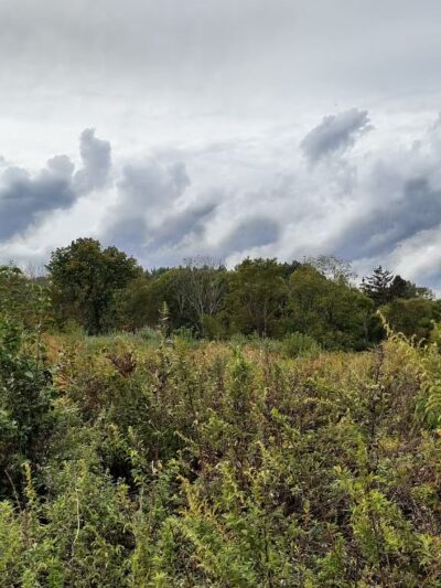 Clover Hill Park (Hunterdon County Park System) - Flemington, NJ