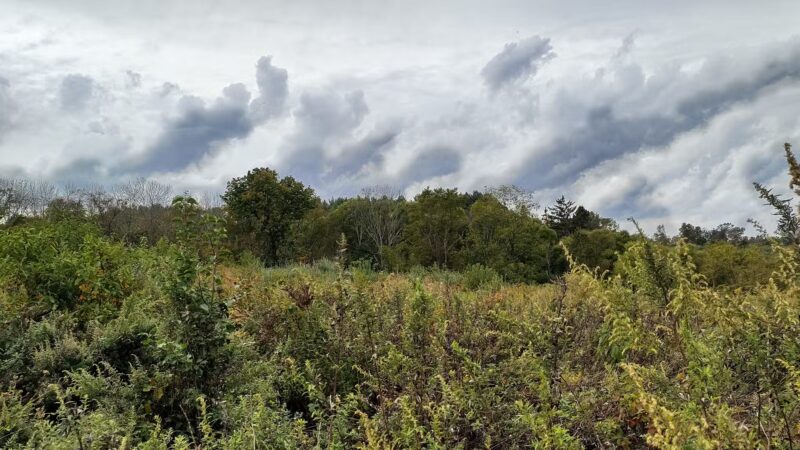 Clover Hill Park (Hunterdon County Park System) - Flemington, NJ