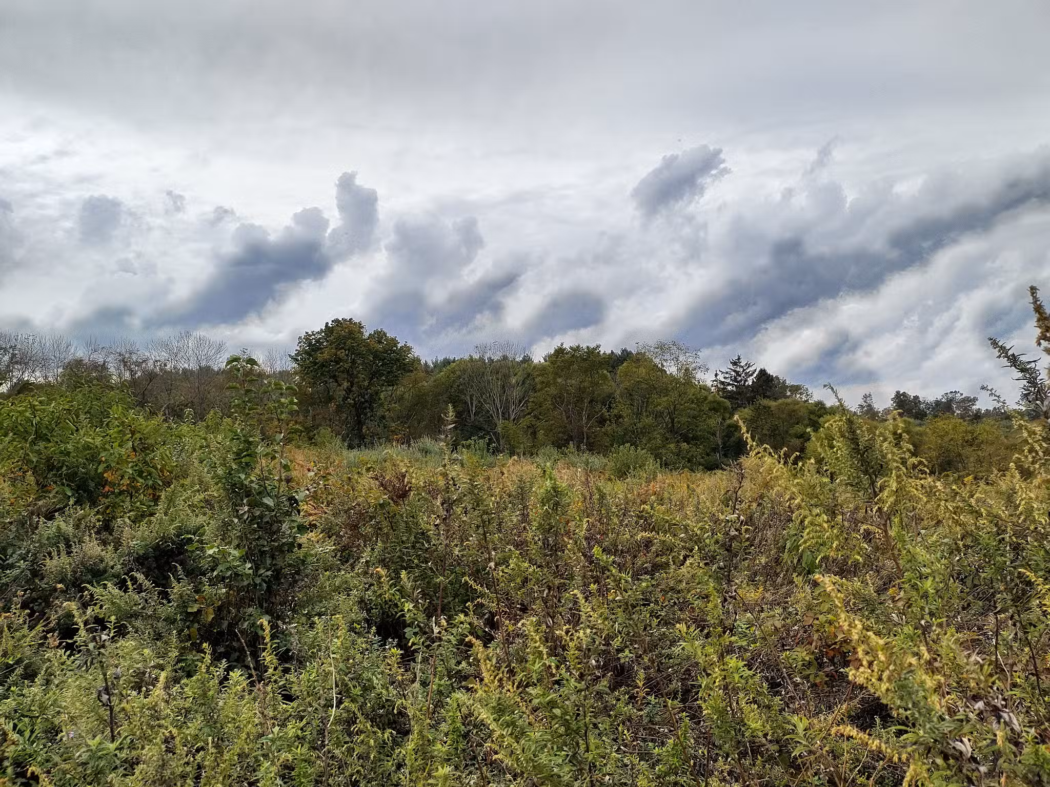 Clover Hill Park (Hunterdon County Park System) - Flemington, NJ