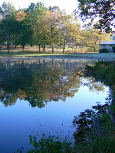 Deer Path Park - Flemington, NJ
