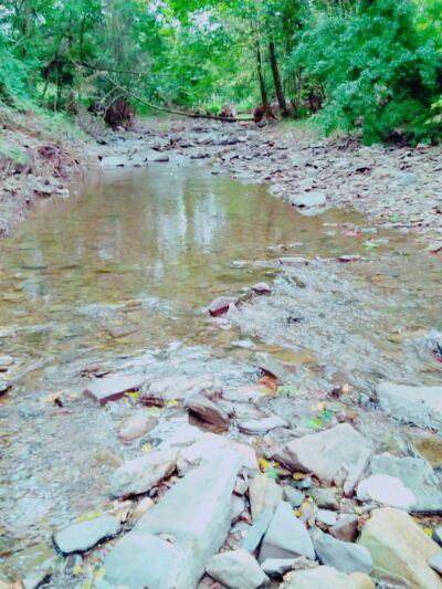 Mine Brook Park - Flemington, NJ