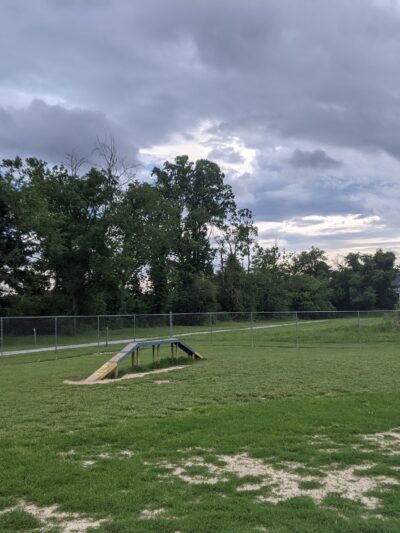 Fletcher Parks & Recreation Dog Park - Fletcher, NC