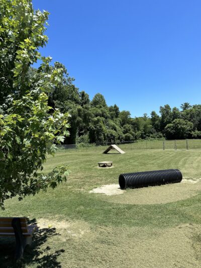 Fletcher Parks & Recreation Dog Park - Fletcher, NC