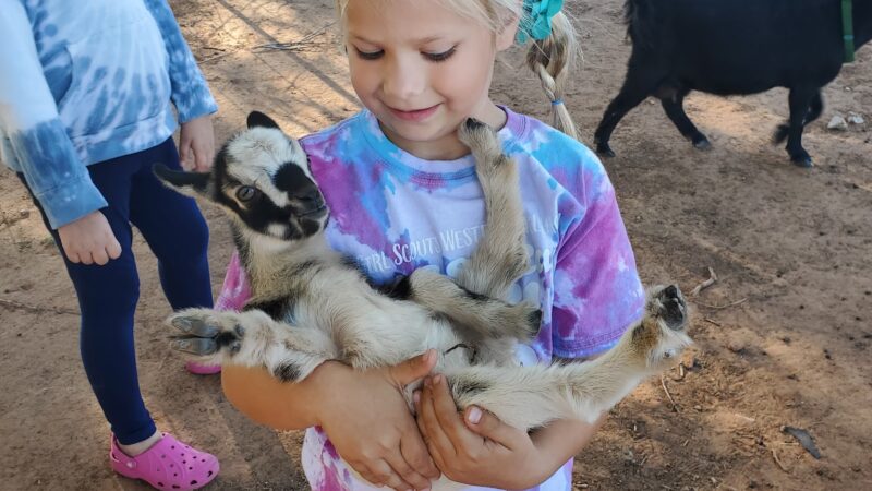 Black Dog Farm of Fletcher - Fletcher, OK