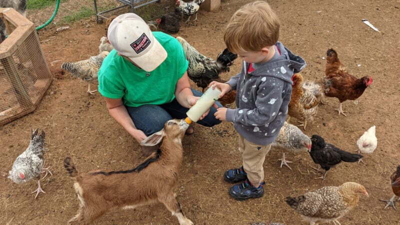 Black Dog Farm of Fletcher - Fletcher, OK