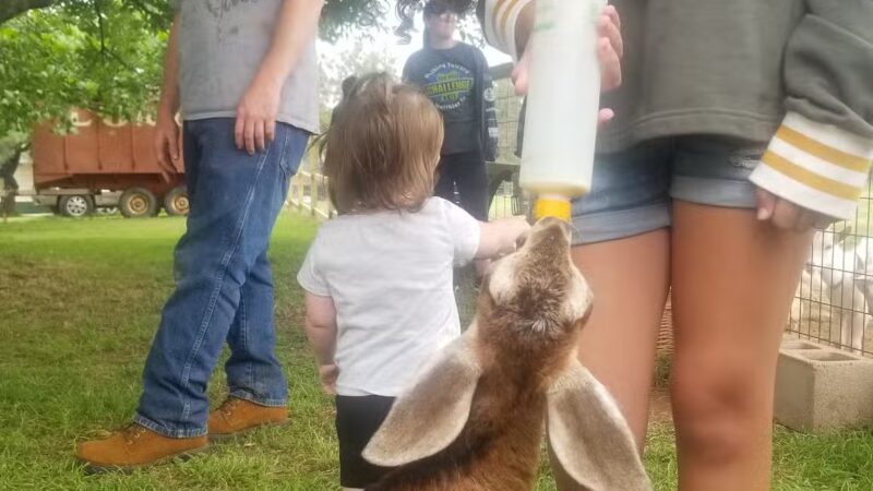 Black Dog Farm of Fletcher - Fletcher, OK