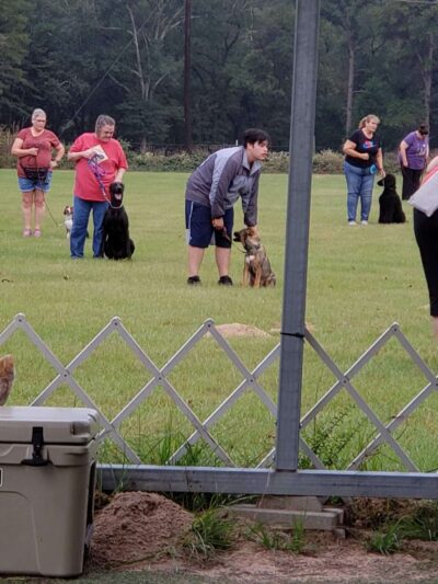 A Dog House In Flint, Tx - Flint, TX