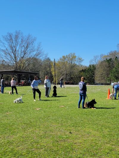 A Dog House In Flint, Tx - Flint, TX