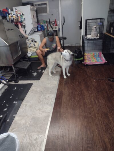 Doggie Do's - Florala, AL