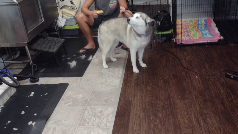 Doggie Do's - Florala, AL