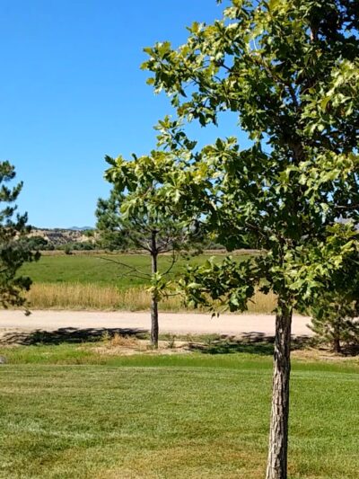 Pathfinder Park - Florence, CO