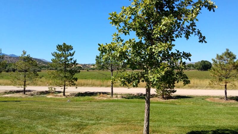 Pathfinder Park - Florence, CO