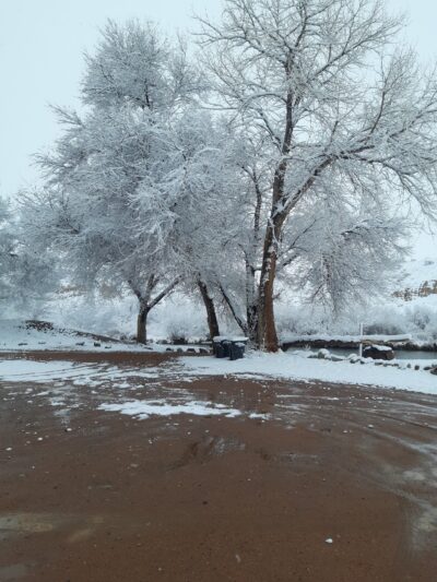 Wilcox Park - Florence, CO