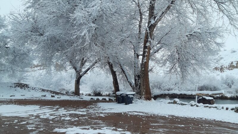Wilcox Park - Florence, CO