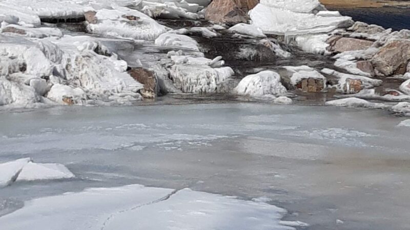 Wilcox Park - Florence, CO