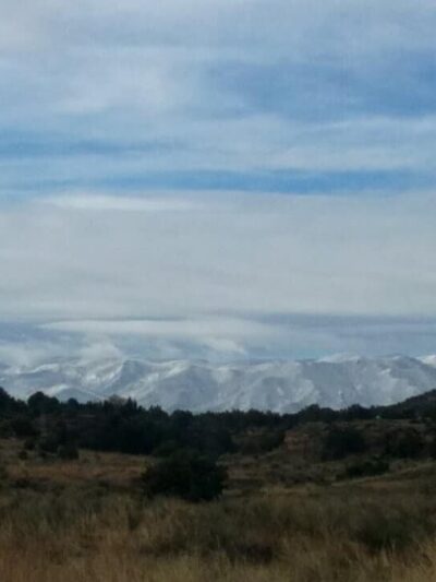 Wilcox Park - Florence, CO