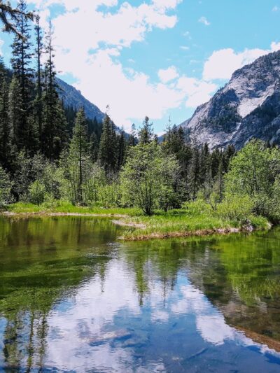 Log Pond On Bass Creek - Florence, MT