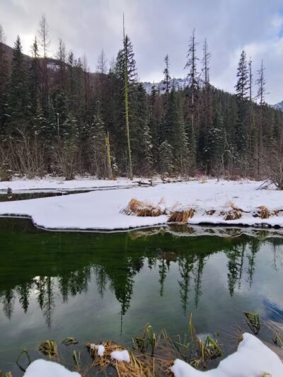 Log Pond On Bass Creek - Florence, MT