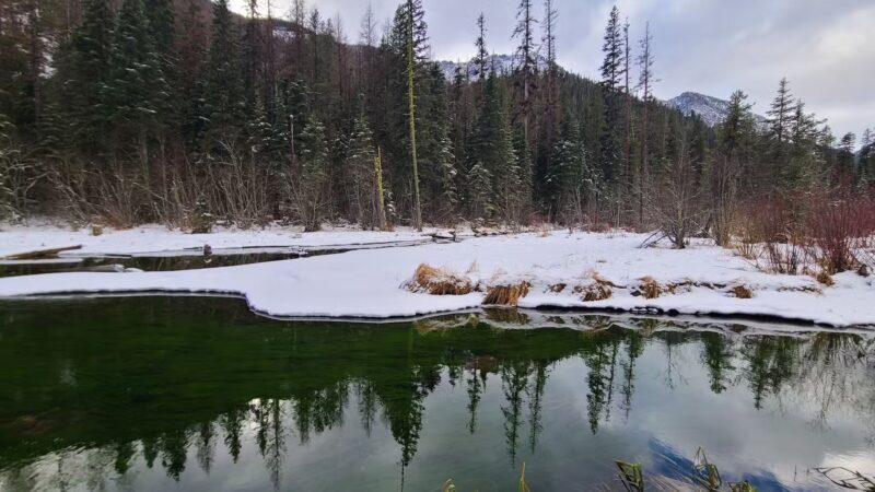 Log Pond On Bass Creek - Florence, MT
