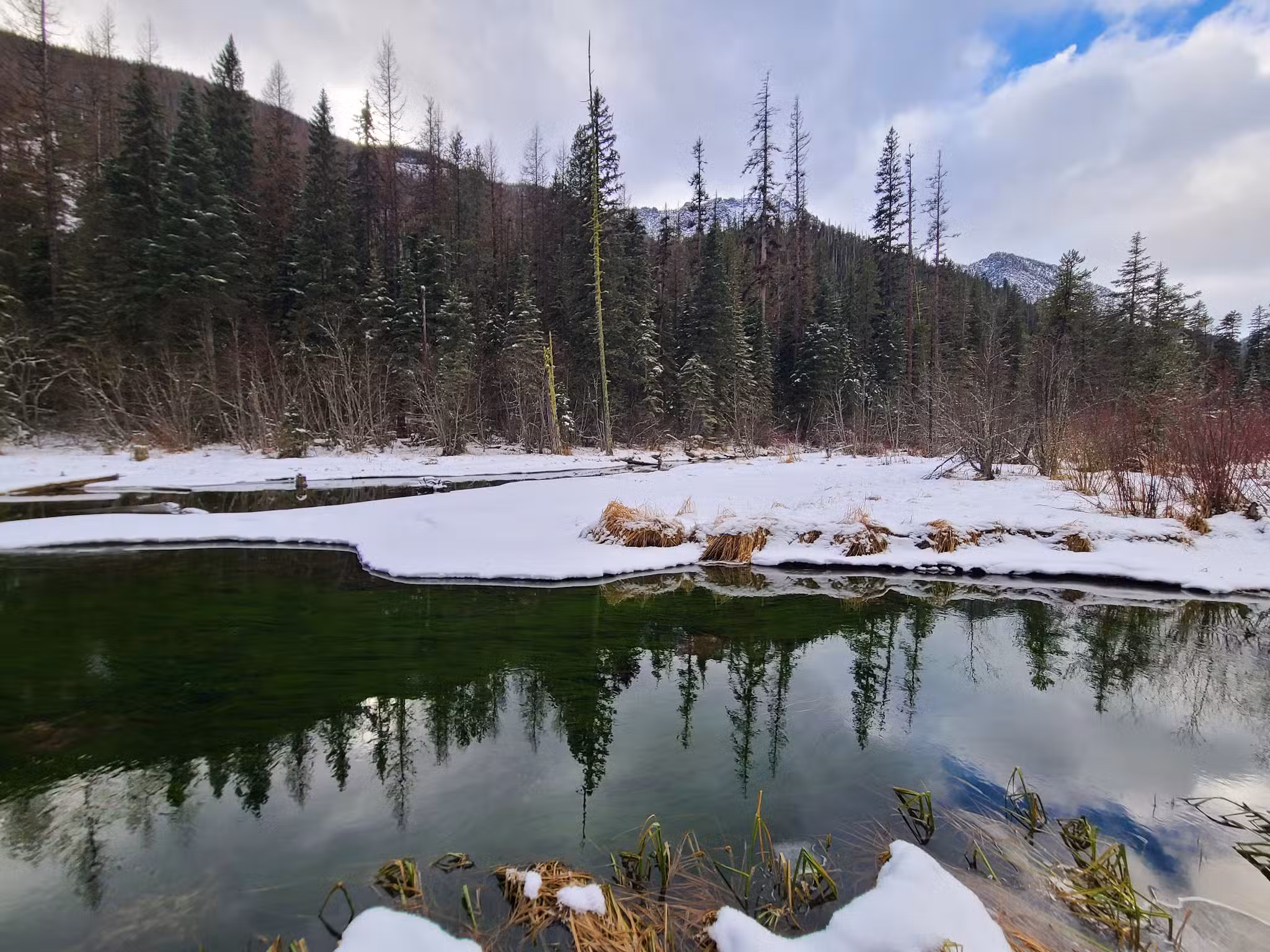Log Pond On Bass Creek - Florence, MT