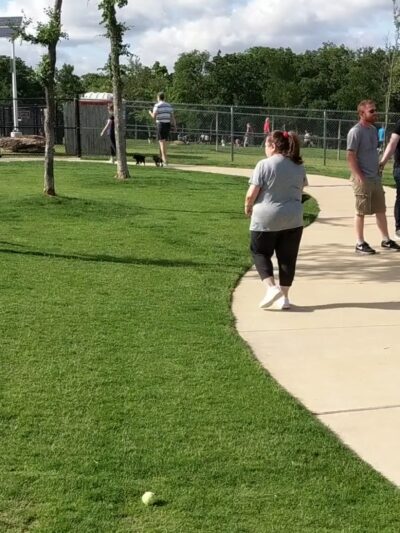 Hound Mound Dog Park - Flower Mound, TX