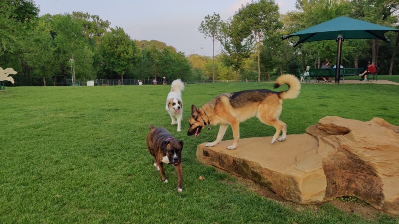 Hound Mound Dog Park - Flower Mound, TX