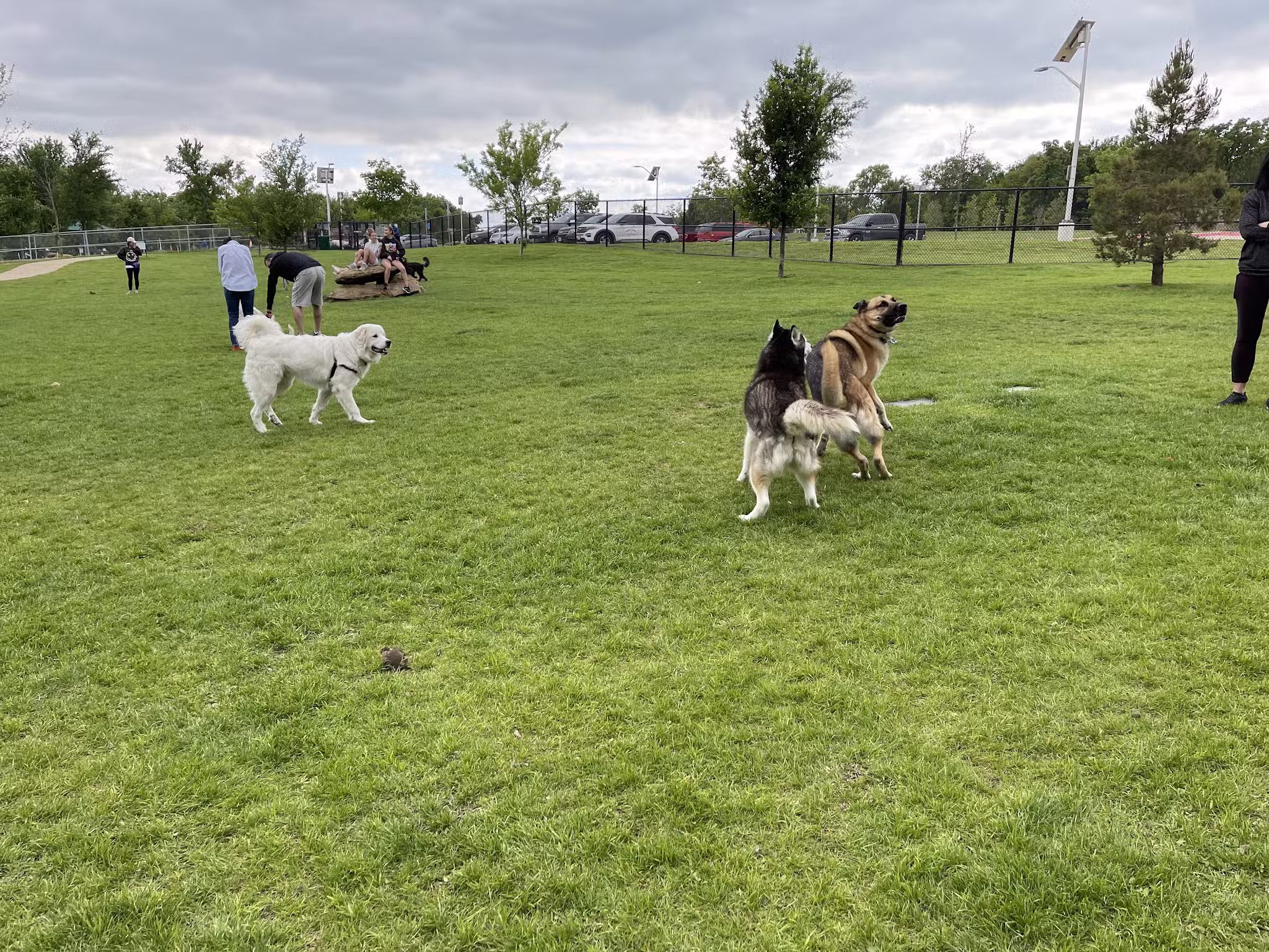 Hound Mound Dog Park - Flower Mound, TX