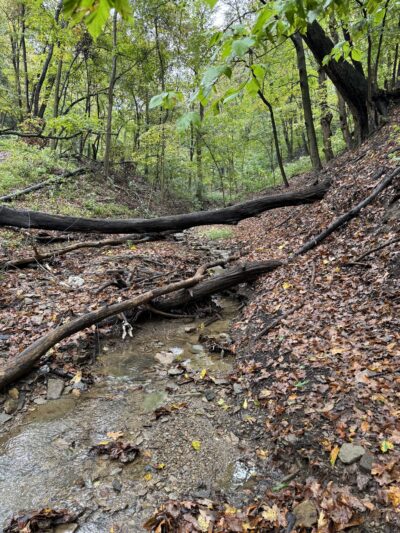 Follansbee Park - Follansbee, WV