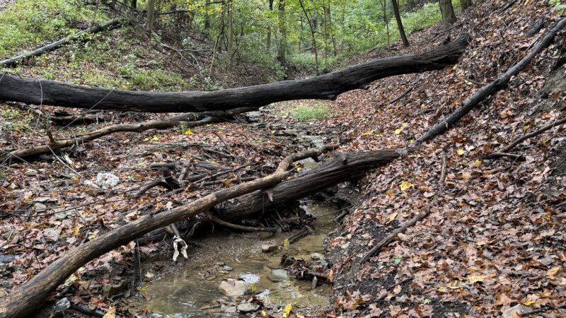 Follansbee Park - Follansbee, WV