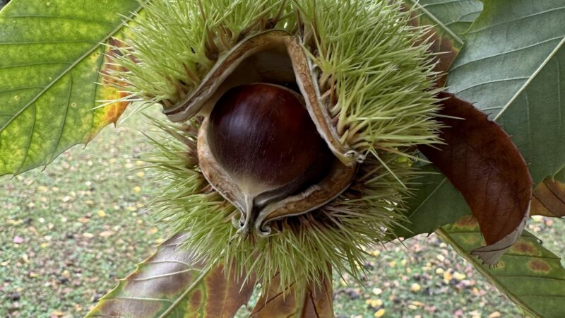 Follansbee Park - Follansbee, WV