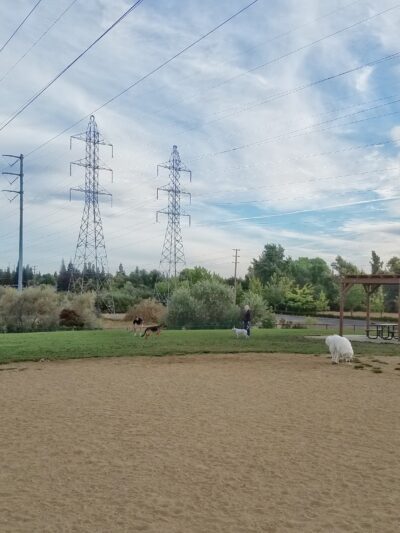 FIDO Field - Folsom, CA