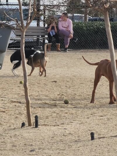 FIDO Field - Folsom, CA