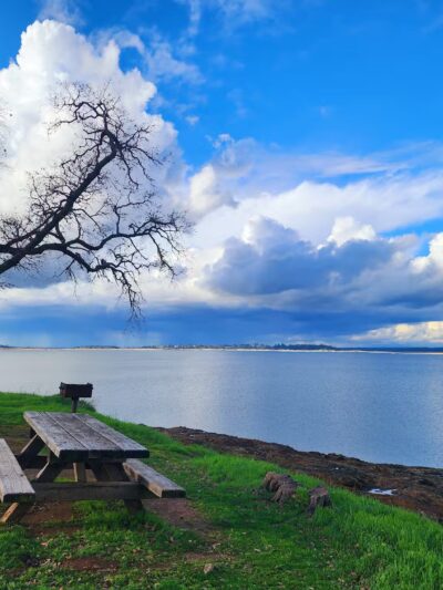 Folsom Point State Park - Folsom, CA