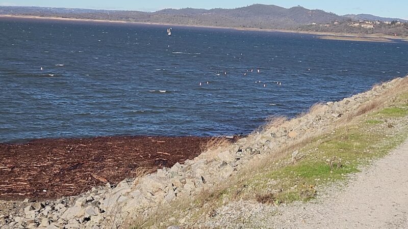 Folsom Point State Park - Folsom, CA