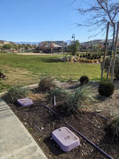 Gabion Ranch Dog Park - Fontana, CA