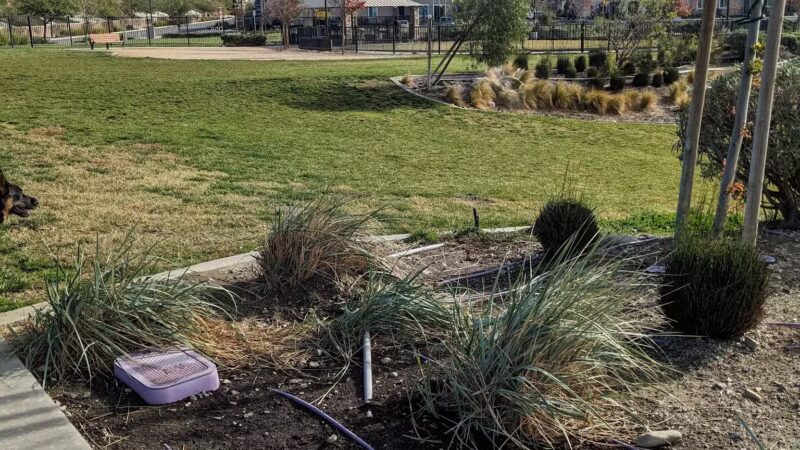 Gabion Ranch Dog Park - Fontana, CA