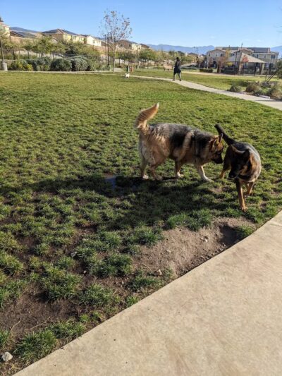 Gabion Ranch Dog Park - Fontana, CA