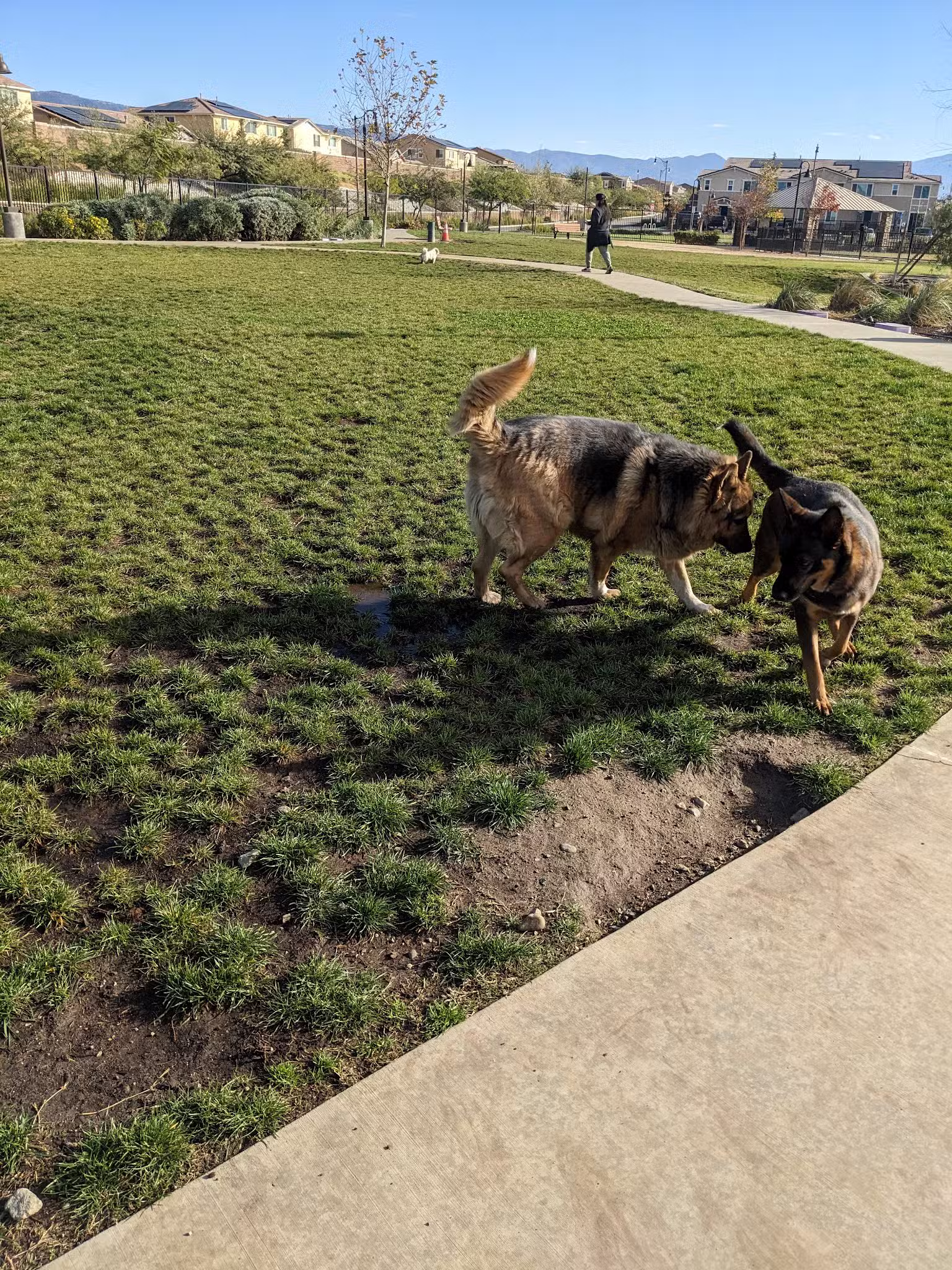 Gabion Ranch Dog Park - Fontana, CA