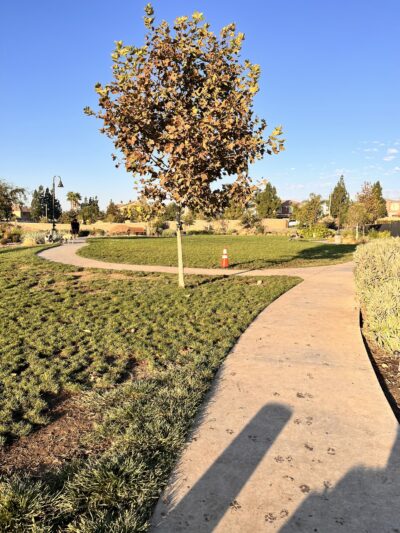 Gabion Ranch Dog Park - Fontana, CA