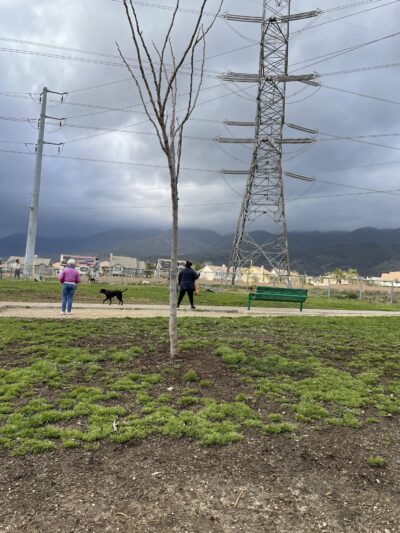 Fontana Dog Park - Fontana, CA