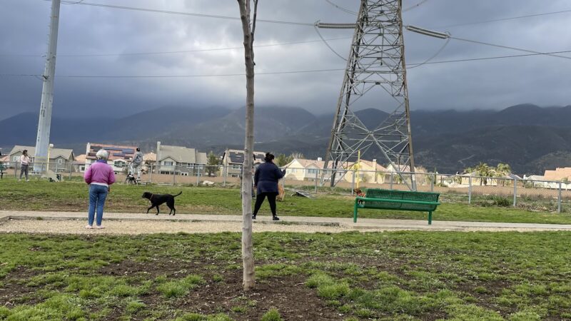 Fontana Dog Park - Fontana, CA