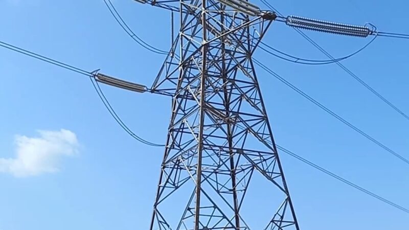 Fontana Dog Park - Fontana, CA